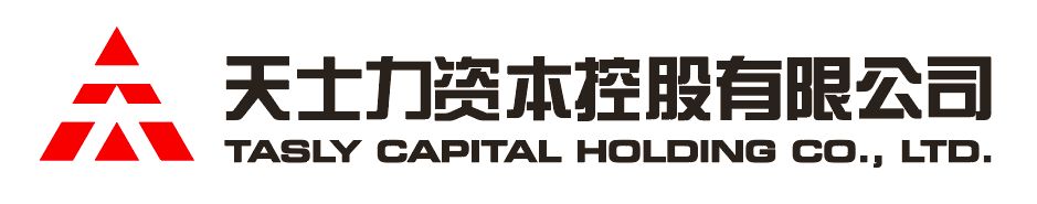 ng集团资本控股有限公司